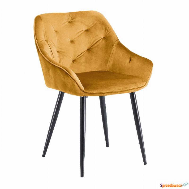 Krzesło K-487 musztardowy - Krzesła kuchenne - Pruszków