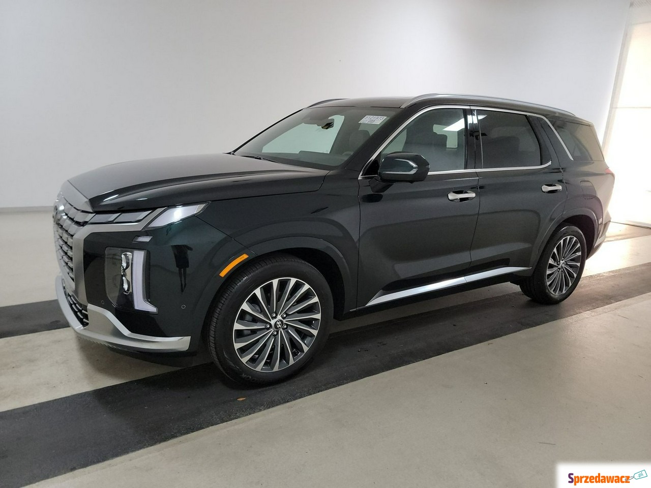 Hyundai inny - Palisade Caligraphy