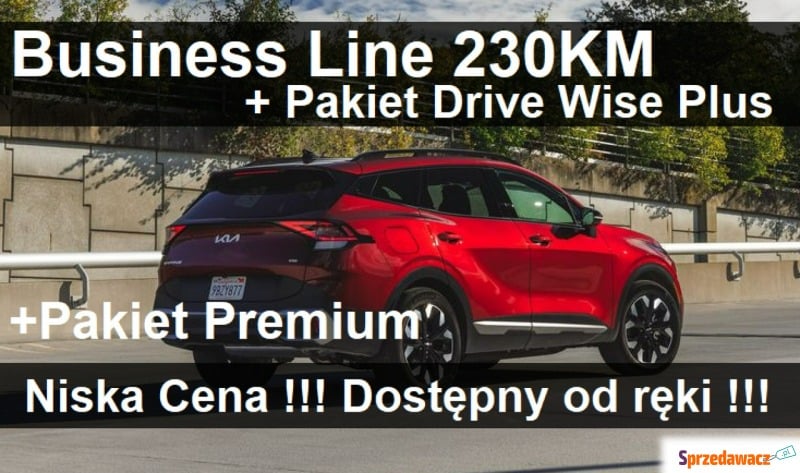 Kia Sportage  SUV 2023,  1.6 hybryda - Na sprzedaż za 180 699 zł - Szczecinek