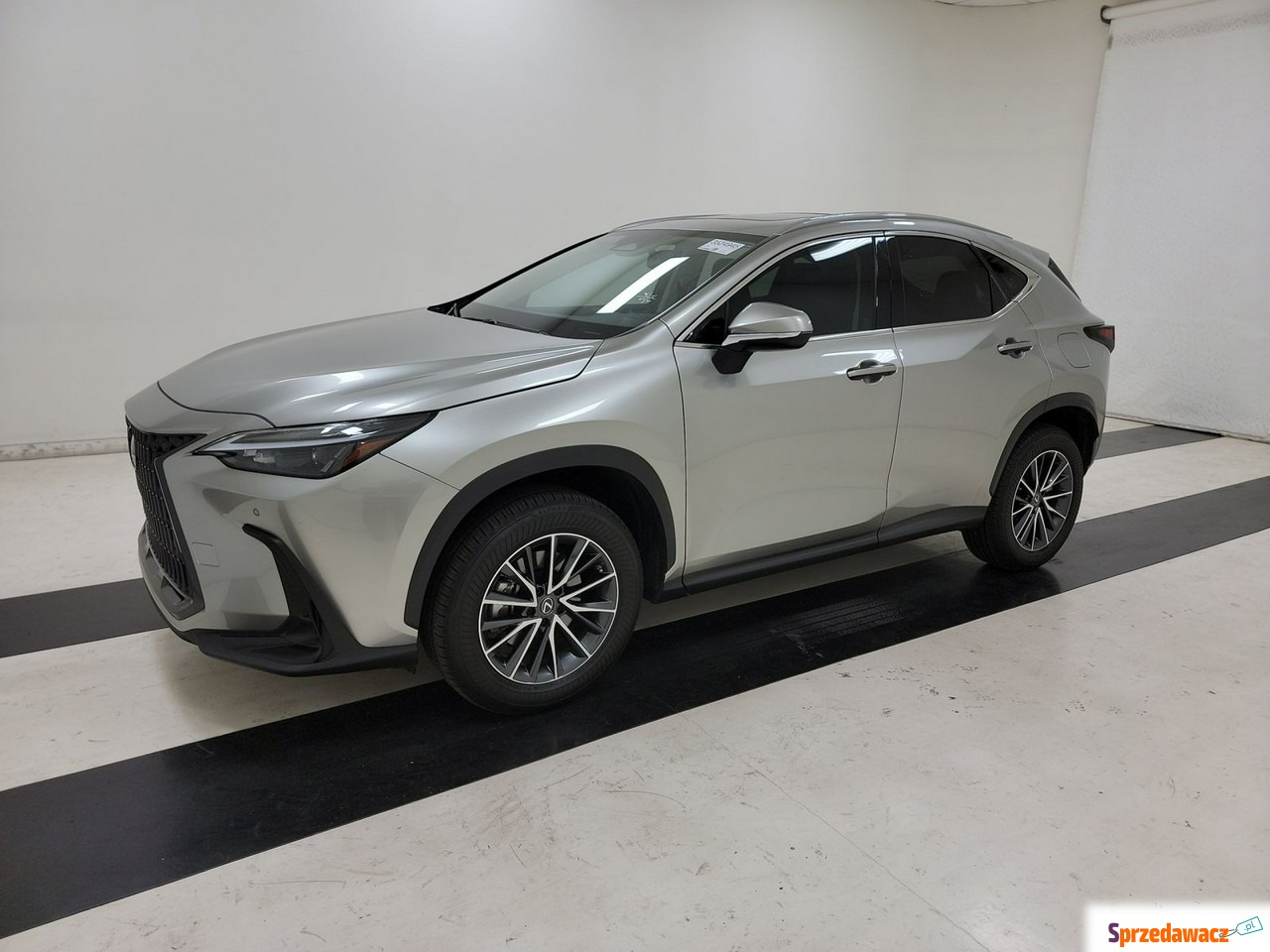 Lexus NX 2021