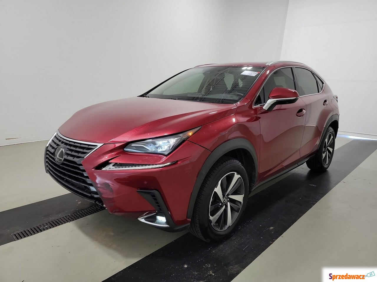 Lexus NX 2021