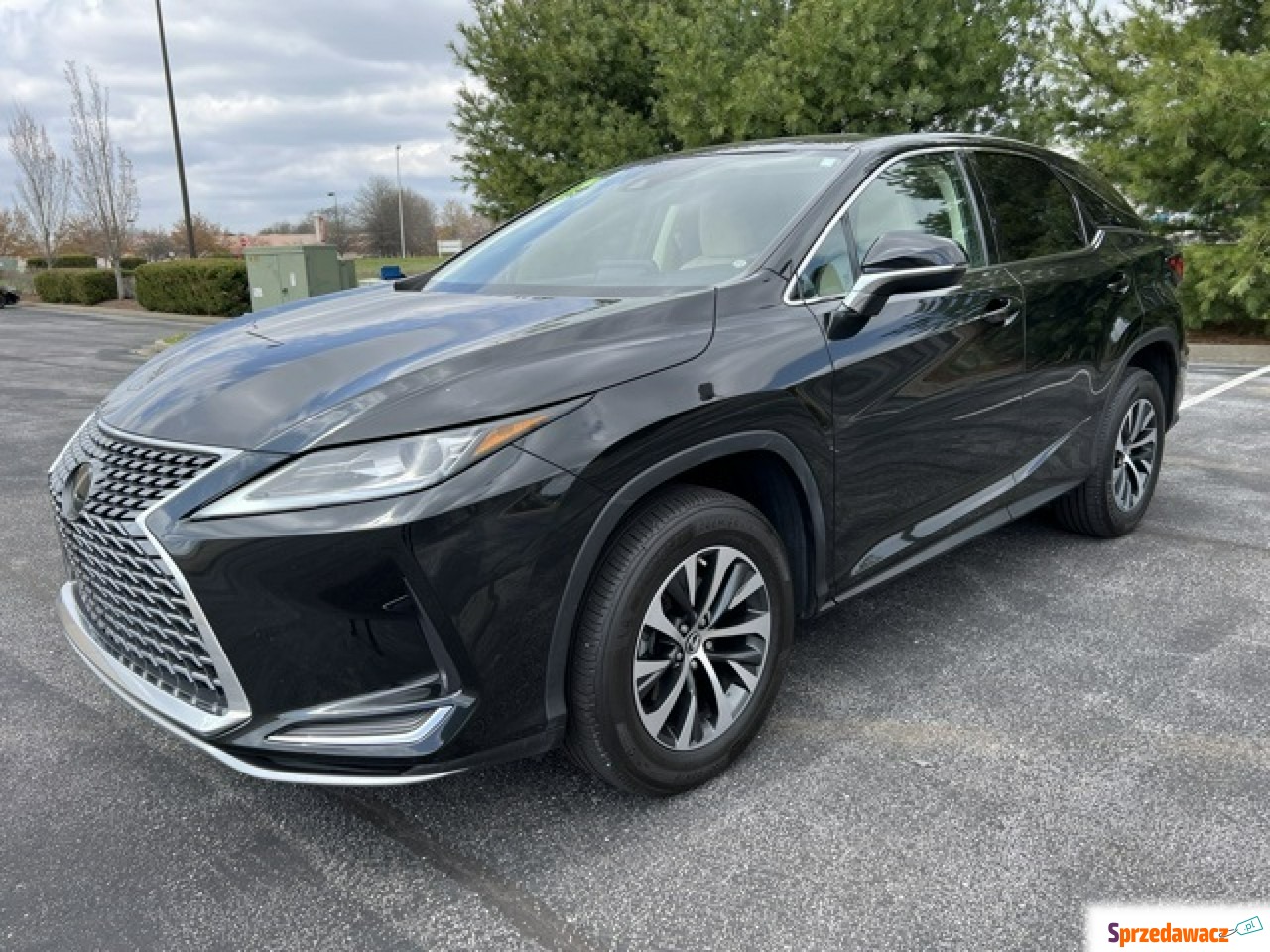 Lexus RX 2021
