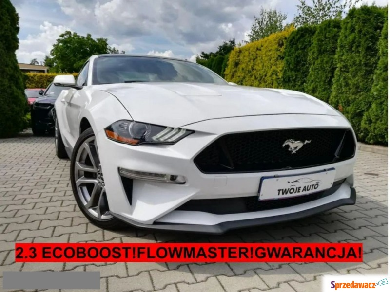Ford Mustang  Coupe/Sportowy 2019,  2.3 benzyna - Na sprzedaż za 127 800 zł - Tarnów