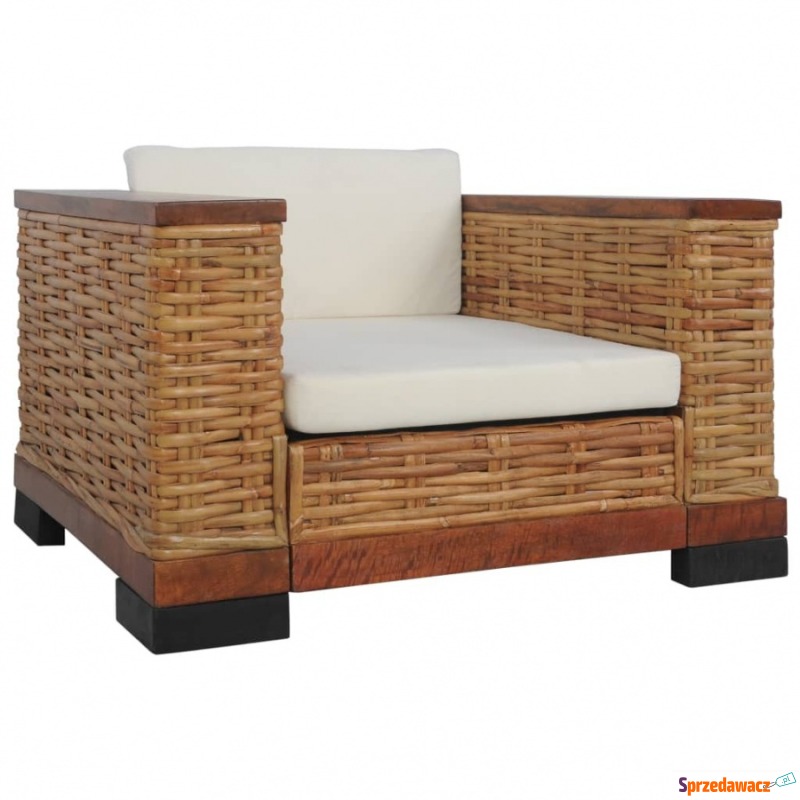 Fotel z poduszkami, brązowy, naturalny rattan - Fotele, sofy ogrodowe - Wałbrzych