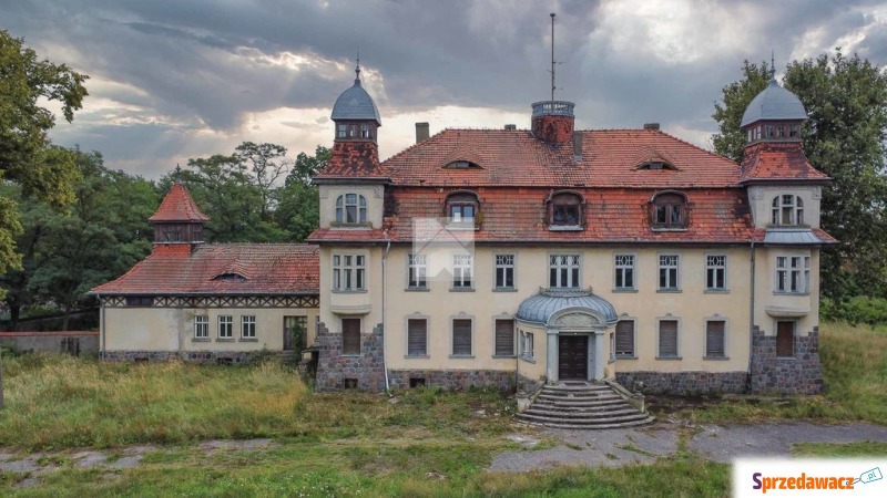 Unikatowy pałac blisko Poznania - Pozostałe nieruchomości - Czerlejno