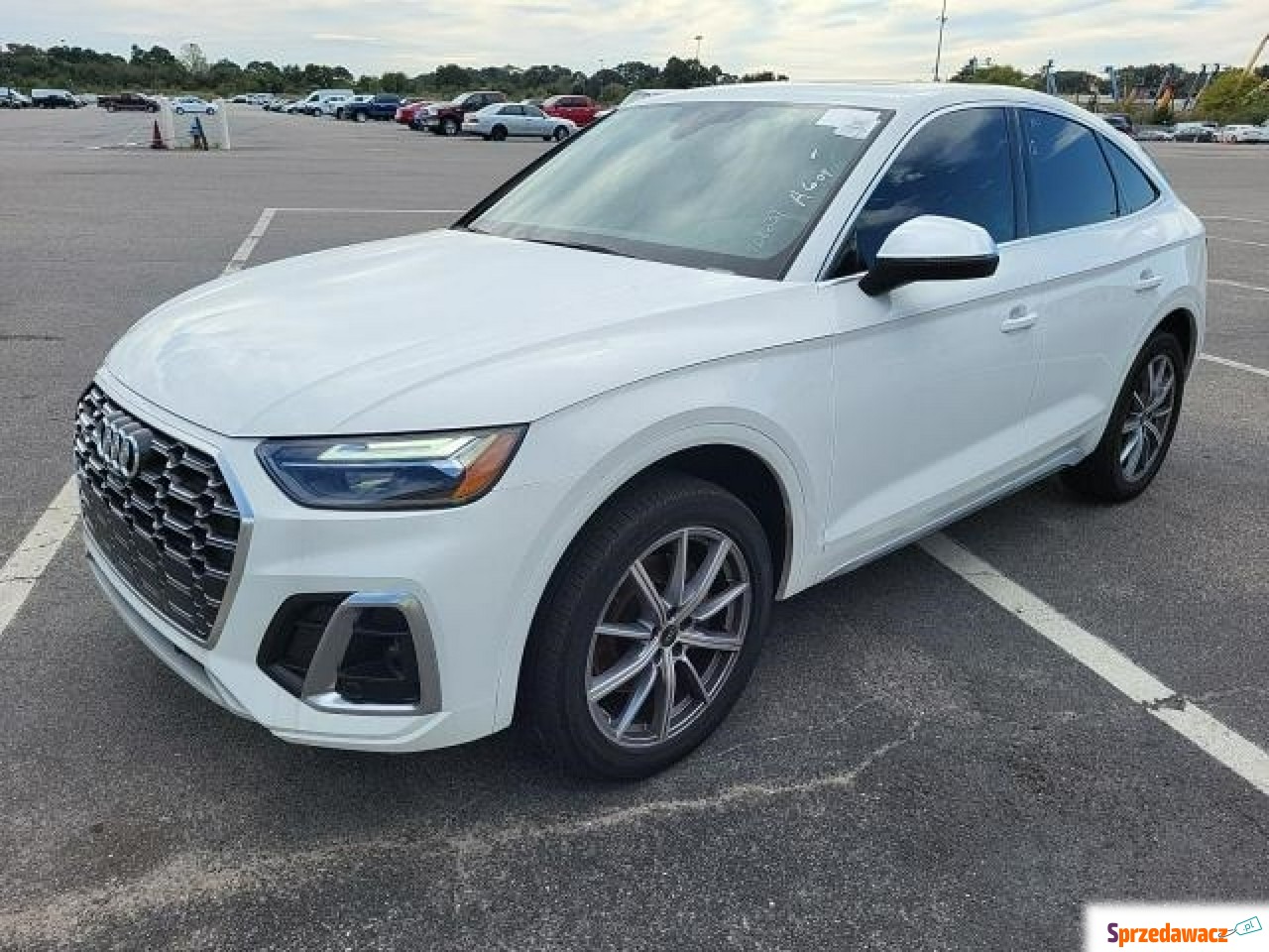 Audi SQ5 2022