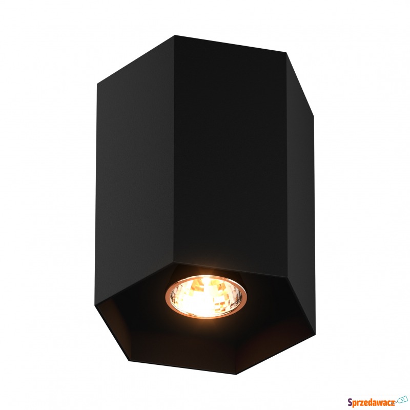 Spot POLYGON CL 1L 20067-BK