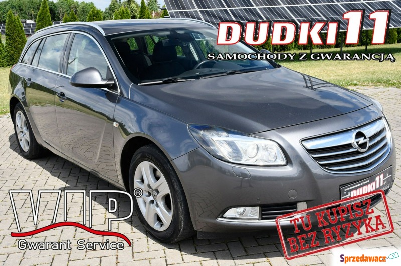Opel Insignia 2009,  1.6 benzyna - Na sprzedaż za 24 900 zł - Kutno