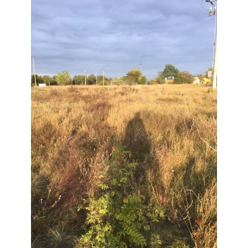 Działka inwestycyjna Rynarzewo sprzedam, pow. 4700 m2  (47a), uzbrojona - zdjęcie 3