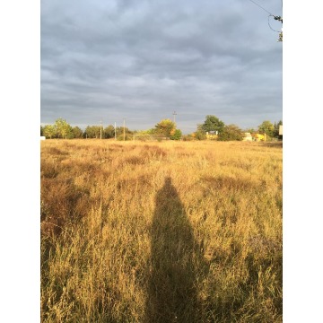 Działka inwestycyjna Rynarzewo sprzedam, pow. 4700 m2  (47a), uzbrojona - zdjęcie 2
