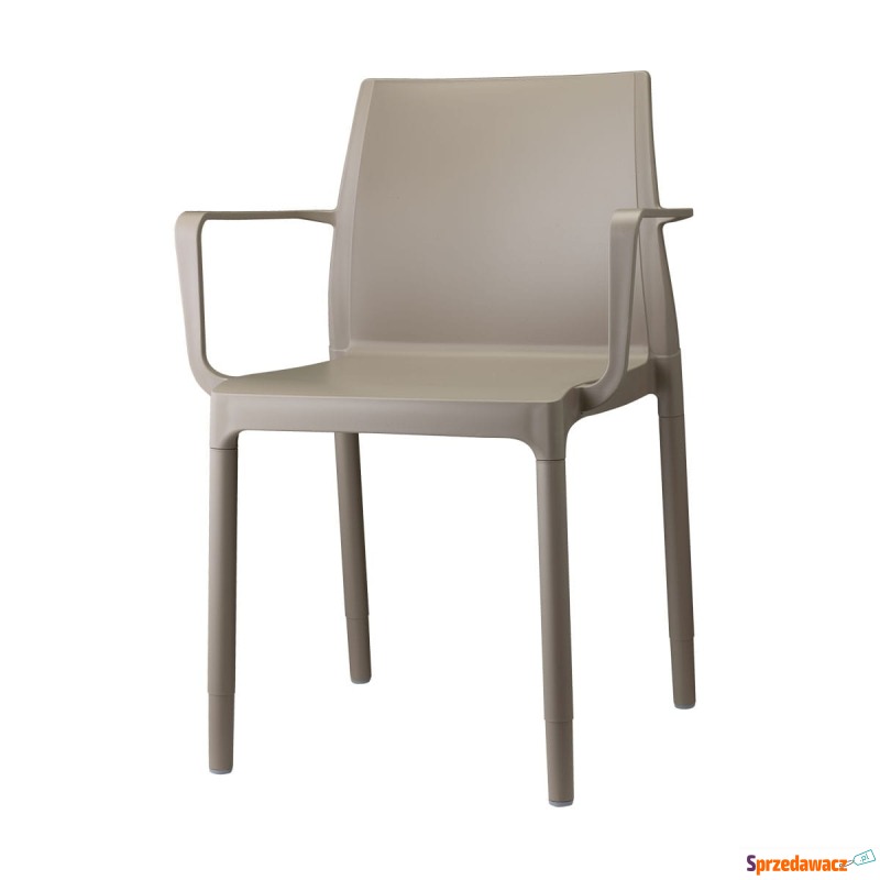 Krzesło Chloé Mon Amour 2637 Scab Design - Krzesła kuchenne - Bytom