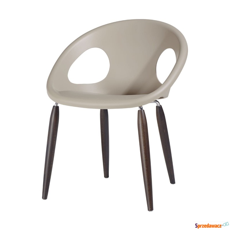 Krzesło Drop natural - buk - Krzesła kuchenne - Głogów