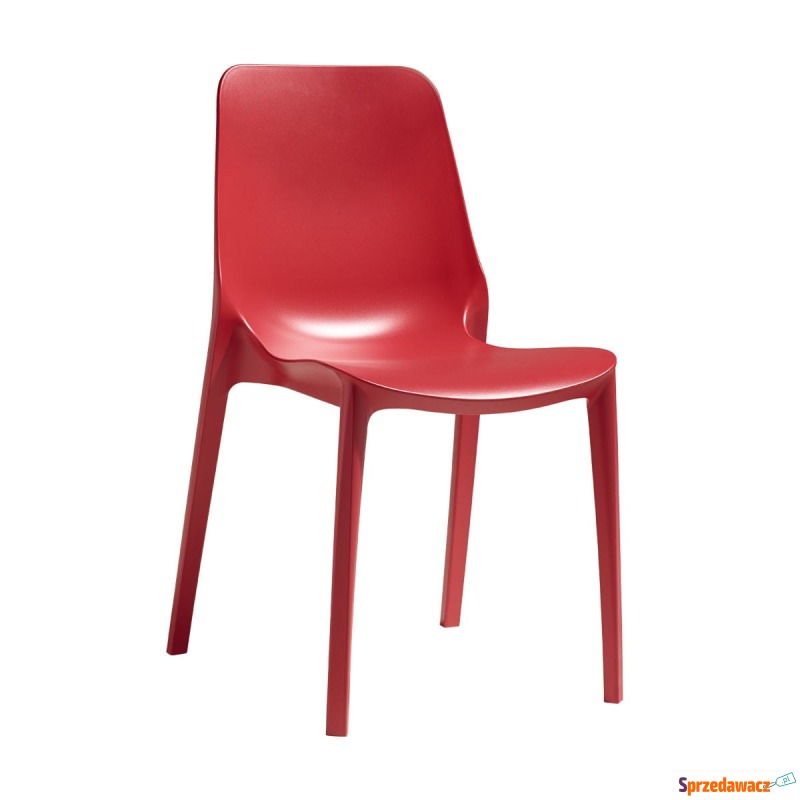 Krzesło Ginevra - czerwony - Krzesła kuchenne - Radom