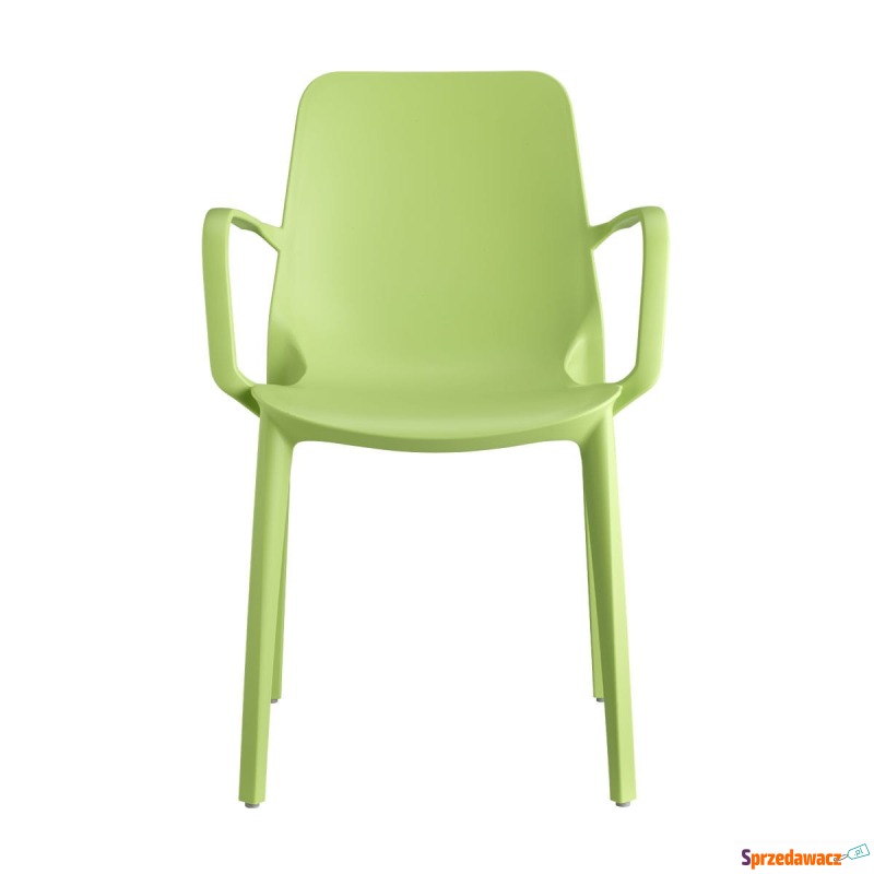 Krzesło Ginevra - jasny zielony z podłokietnikami - Krzesła kuchenne - Gdańsk