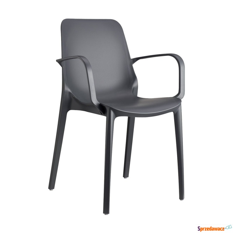 Krzesło Ginevra - antracyt z podłokietnikami - Krzesła kuchenne - Bytom