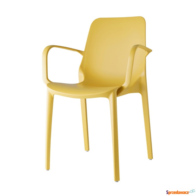 Krzesło Ginevra - żółty z podłokietnikami - Krzesła kuchenne - Wieluń