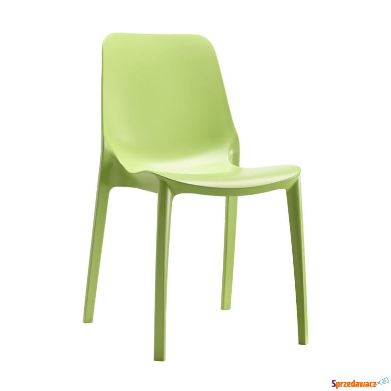 Krzesło Ginevra - jasny zielony - Krzesła kuchenne - Koszalin