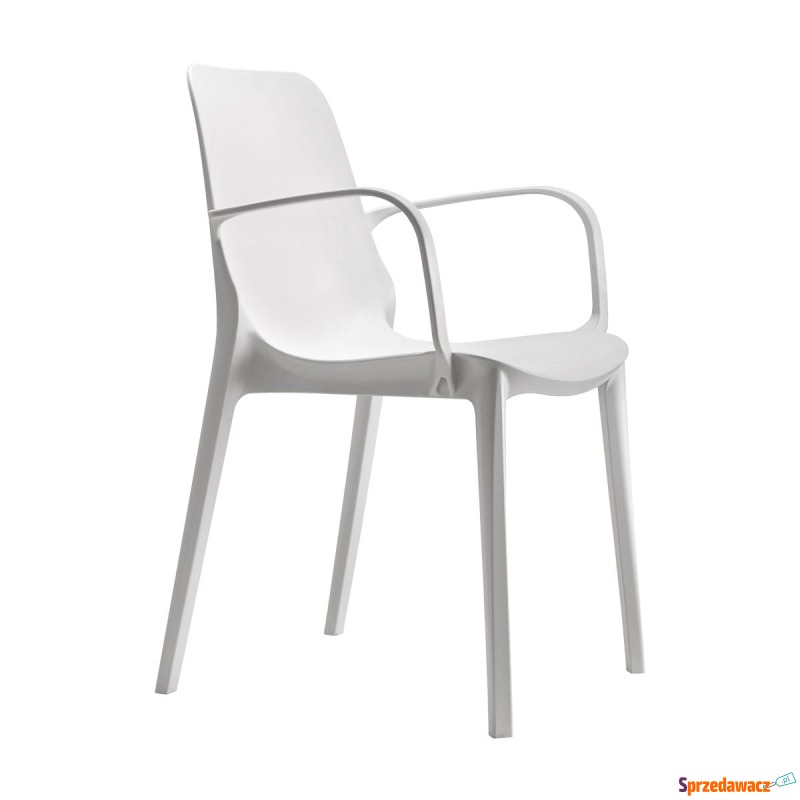 Krzesło Ginevra - linen z podłokietnikami - Krzesła kuchenne - Zgorzelec