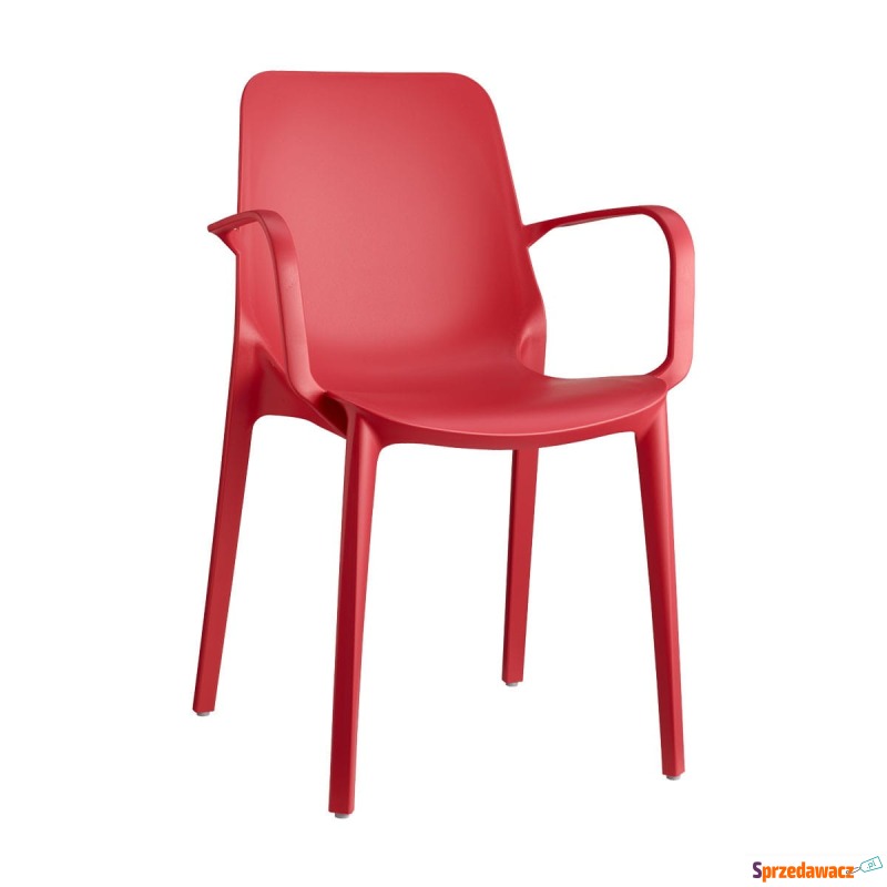 Krzesło Ginevra - czerwony z podłokietnikami - Krzesła kuchenne - Płock