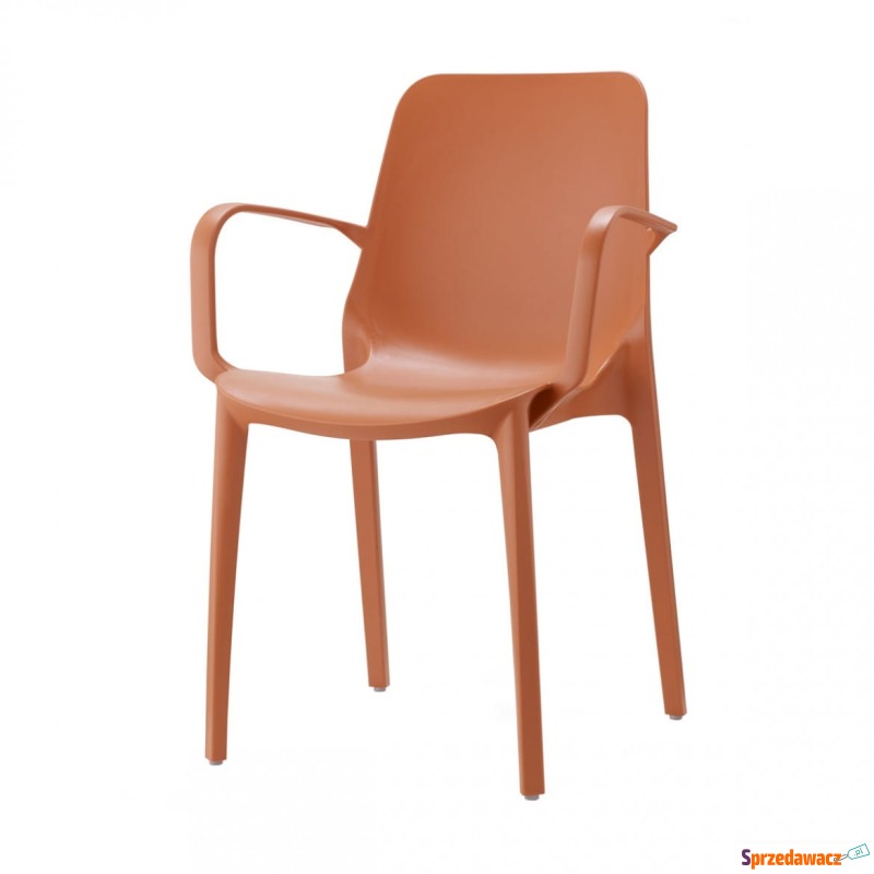 Krzesło Ginevra - terracotta z podłokietnikami - Krzesła kuchenne - Zaścianki