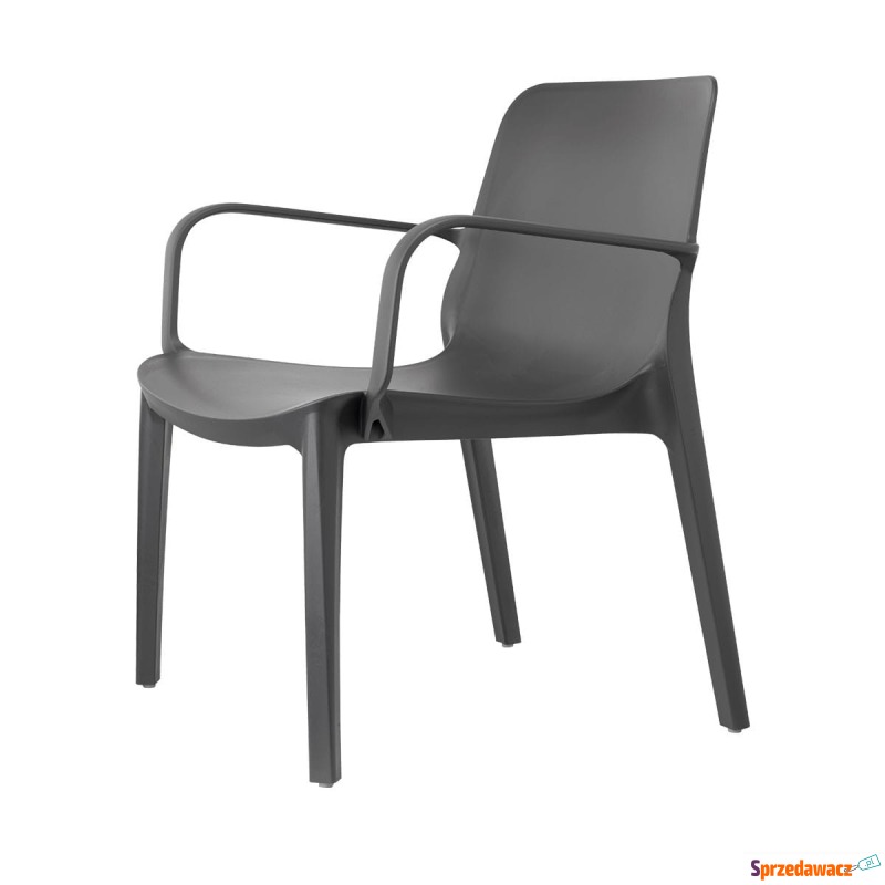 Krzesło Ginevra lounge - antracyt - Krzesła kuchenne - Kalisz
