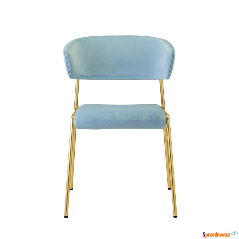 Krzesło Lisa z podłokietnikami - rama satynowa - Krzesła kuchenne - Kraśnik
