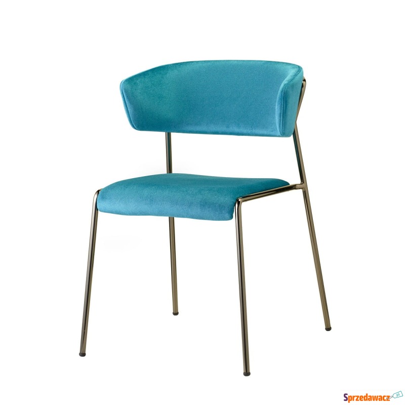 Krzesło Lisa z podłokietnikami - rama chromowana - Krzesła kuchenne - Ełk