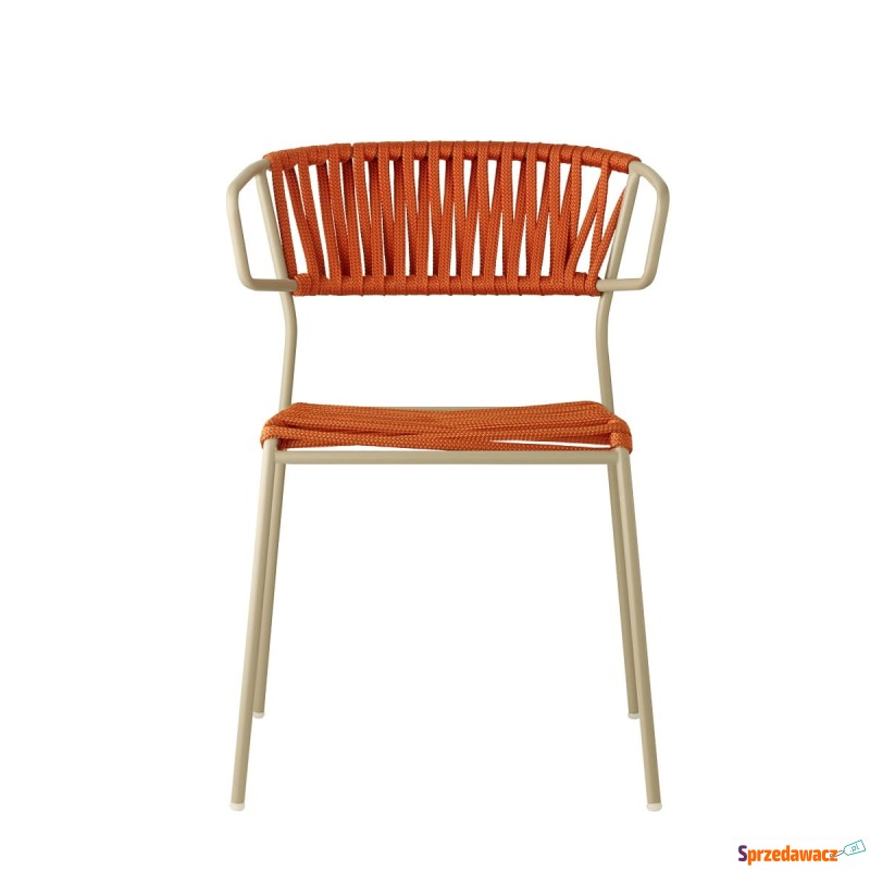 Krzesło Lisa Filò z podłokietnikami - szara rama - Krzesła kuchenne - Gdańsk