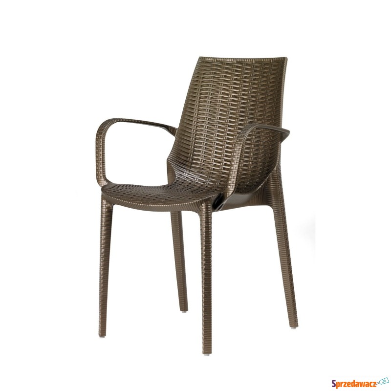 Krzesło Lucrezia z podłokietnikami - brąz - Krzesła kuchenne - Legnica