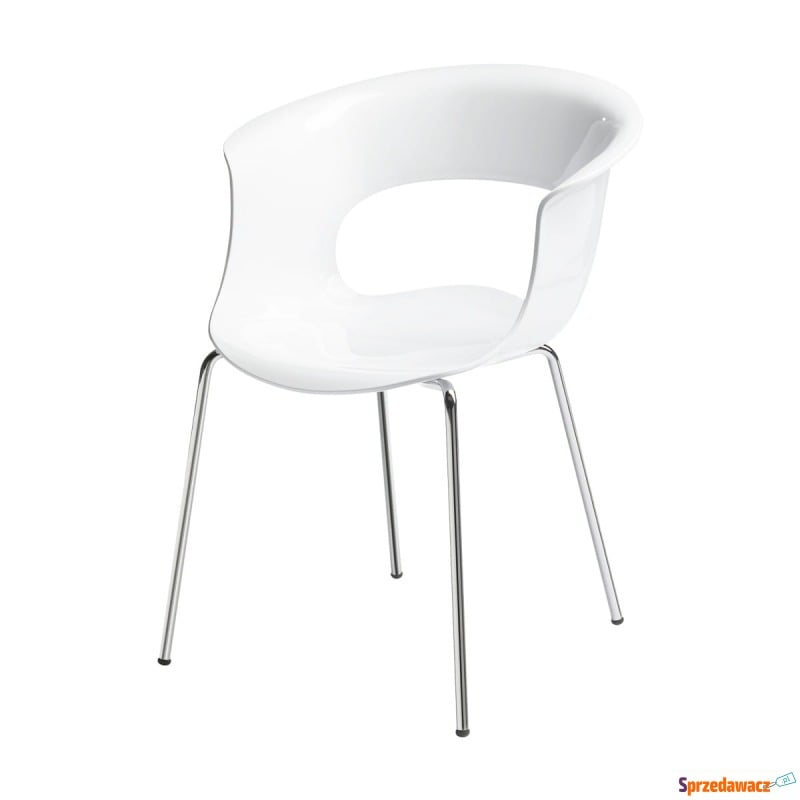 Krzesło Miss B Antishock - biały - Krzesła kuchenne - Rogoźnik