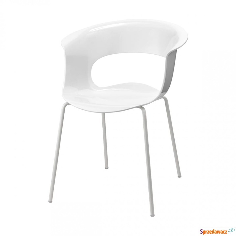Krzesło Miss B Antishock - biała rama - Krzesła kuchenne - Zamość