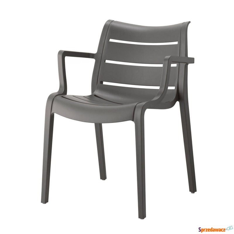 Krzesło Sunset - antracytowy - Krzesła kuchenne - Dąbrowa Górnicza