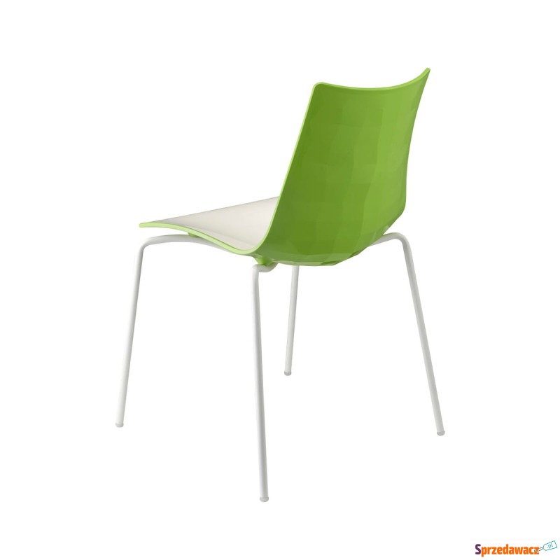 Krzesło Zebra Bicolore biało - zielone - Krzesła kuchenne - Legnica