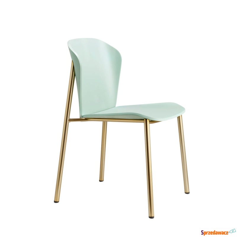Krzesło Finn II rama matowe złoto Scab Design - Krzesła kuchenne - Kędzierzyn-Koźle