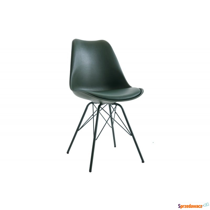 Krzesło Northern zielone - Invicta - Krzesła kuchenne - Nowy Sącz