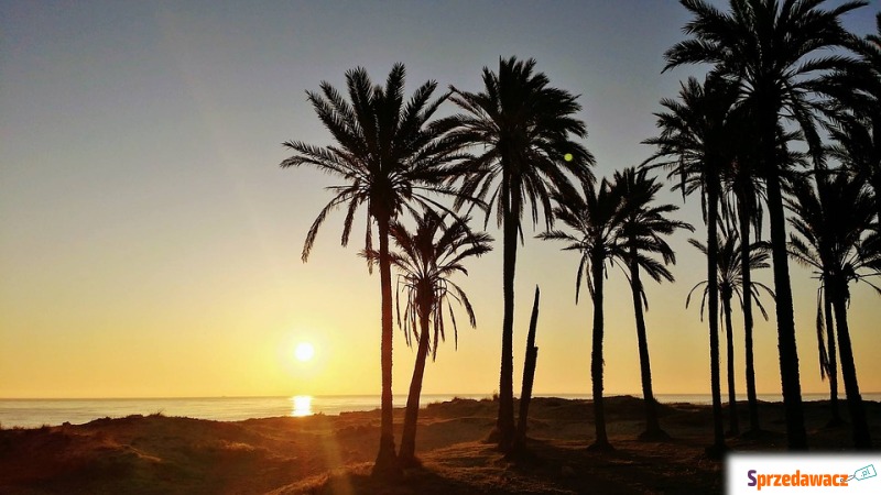*Apartament na Costa Blanca dla...