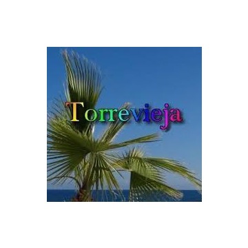 *Apartament na Costa Blanca dla niepalących 2-osób. - Noclegi - Katowice - zdjęcie 2
