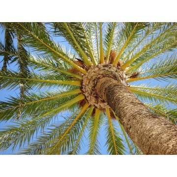 *Apartament na Costa Blanca dla niepalących 2-osób. - Noclegi - Katowice - zdjęcie 7