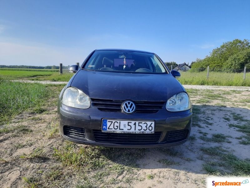 Volkswagen Golf  Hatchback 2004,  1.8 diesel - Na sprzedaż za 12 900 zł - Goleniów