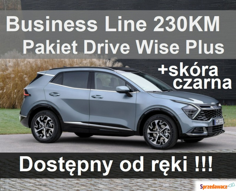 Kia Sportage  SUV 2023,  1.6 hybryda - Na sprzedaż za 181 629 zł - Szczecinek