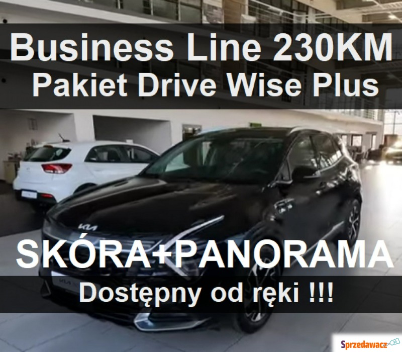 Kia Sportage  SUV 2023,  1.6 hybryda - Na sprzedaż za 185 349 zł - Szczecinek