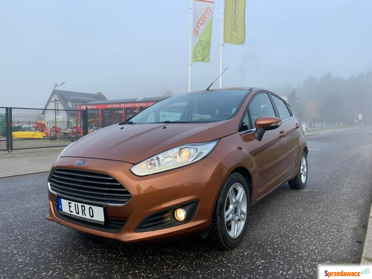 Ford Fiesta 2013