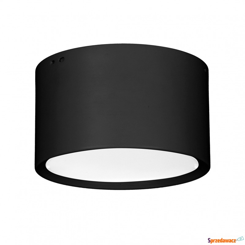 Spot DOWNLIGHT LED 895