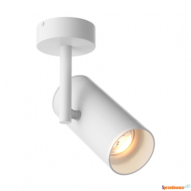 Spot TORI SL 2 20015-WH-N
