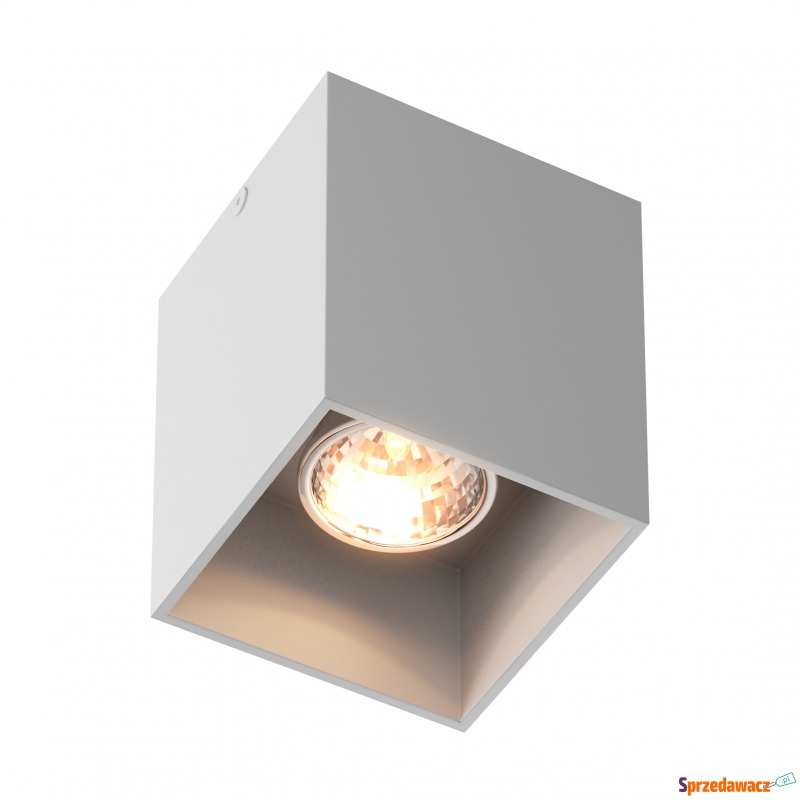 Spot SQUARE 50475-WH