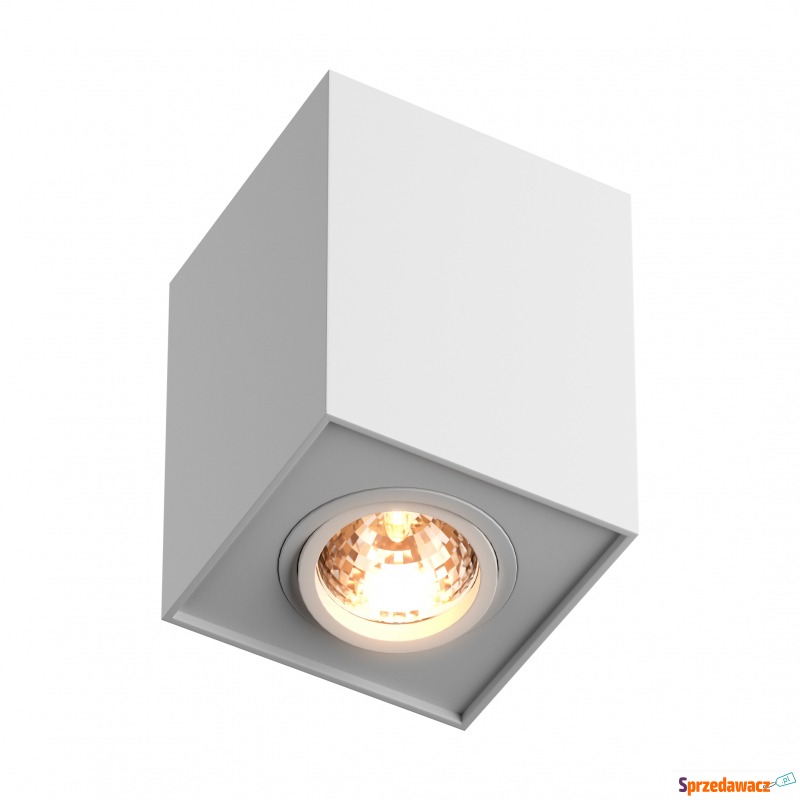 Spot QUADRO 89200-WH