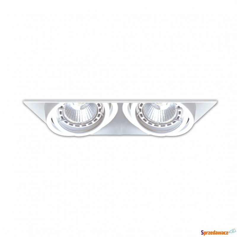 Spot ONEON DL 50-2 94362-WH