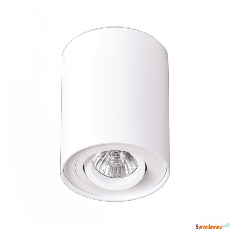 Spot BASIC ROUND C0067