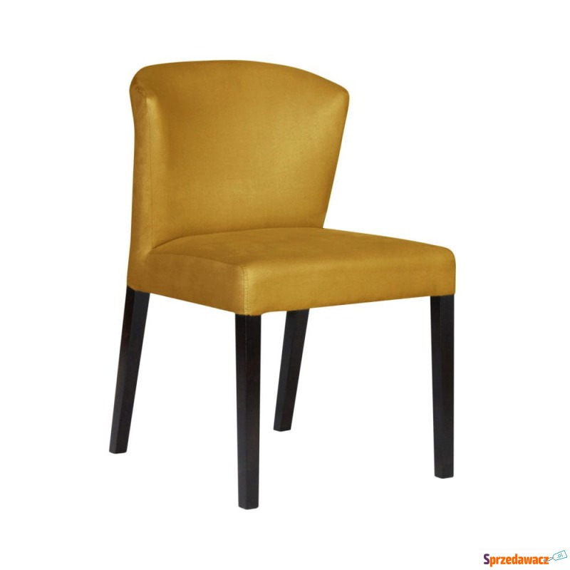 Krzesło Campari - Różne Kolory 52x57x83cm - Krzesła kuchenne - Olsztyn