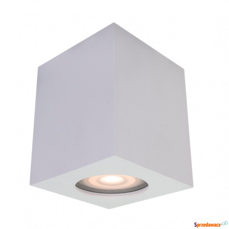 Spot FABRYCIO IT8003S1-WH